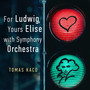 For Ludwig, Yours Elise (With Symphony Orchestra)
