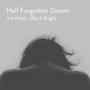 Half Forgotten Dream