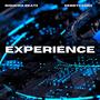 EXPERIENCE