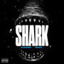 Shark (Explicit)