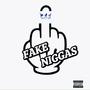 Fake Ni66as (Explicit)