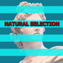 Natural Selection (Explicit)