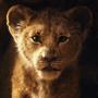 THAT'S MUFASA (Electro Techno House Rave x Shuffle Music Mix)