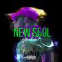 New Soul