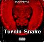 Turnin' Snake (Explicit)