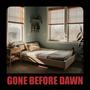 Gone Before Dawn