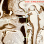 Cracks in the Brainrot