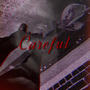 CAREFUL (Explicit)