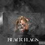 Black Flags:Lost Files (Explicit)