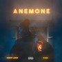 Anémone (Explicit)