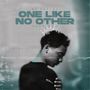 ONE LIKE NO OTHER CHAPTER 2