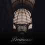 Prumesse