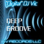 Deep Groove (Vic's Vibe Mix)