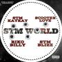 STM World (Explicit)