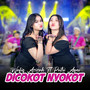 Dicokot Nyokot