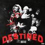 Destined (Explicit)