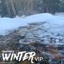 Winter (VIP Mix)
