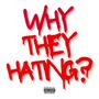 WHY THEY HATING? (feat. Jaye Dolla & Demise) [Explicit]