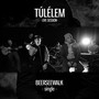 Túlélem (Live Session)