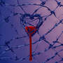 Love to Feel
