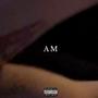 AM (Explicit)