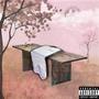 Désolé ma belle (Explicit)