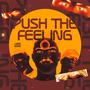 MEGA PUSH THE FEELING (feat. DJ PETROSKI & DJ TH PR) [Explicit]