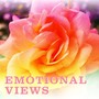 Emotional Views