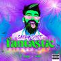 Fantastic (feat. DARF music) [Explicit]