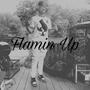 Flamin Up (Explicit)