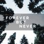 Forever But Never