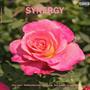 SYNERGY (Explicit)