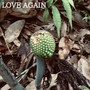 LOVE AGAIN