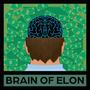 Brain of Elon