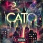 CATO (Explicit)