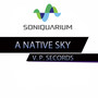 A Native Sky