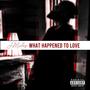 What Happened To Love (Explicit)