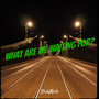What Are We Waiting for? (Explicit)