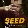 Seed (Explicit)