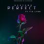 Perfect (feat. Tia Lynn) [Radio Edit]