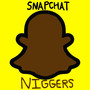 SNAPCHAT NIGGERS