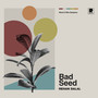 Bad Seed (Wind & Wire Sessions)