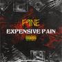 Expensive Pain (Explicit)