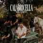 CALABRICELLA (Explicit)