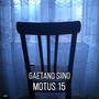 Motus 15