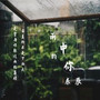 雨中的你