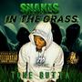 SNAKES IN THE GRASS
