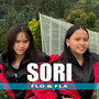 Sori