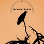 Black Bird