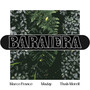 Baraiera